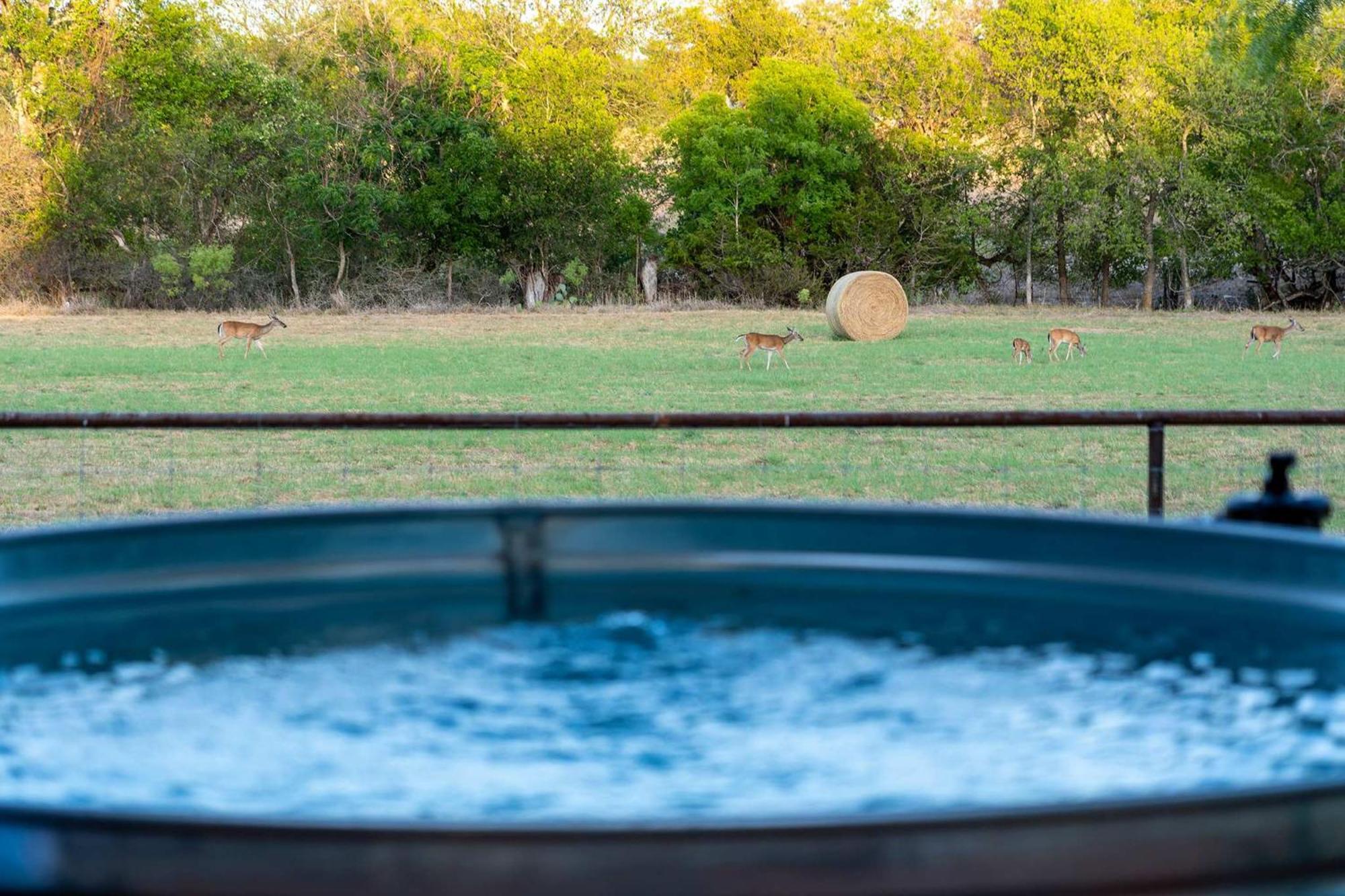 フレデリックスバーグ Container Haus Pet Friendly With Cowboy Poolヴィラ エクステリア 写真